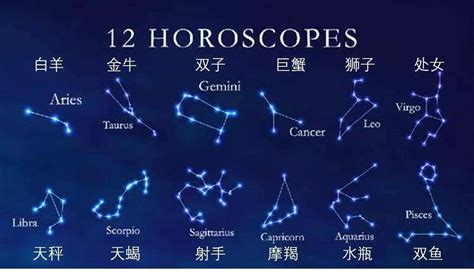 星座組成